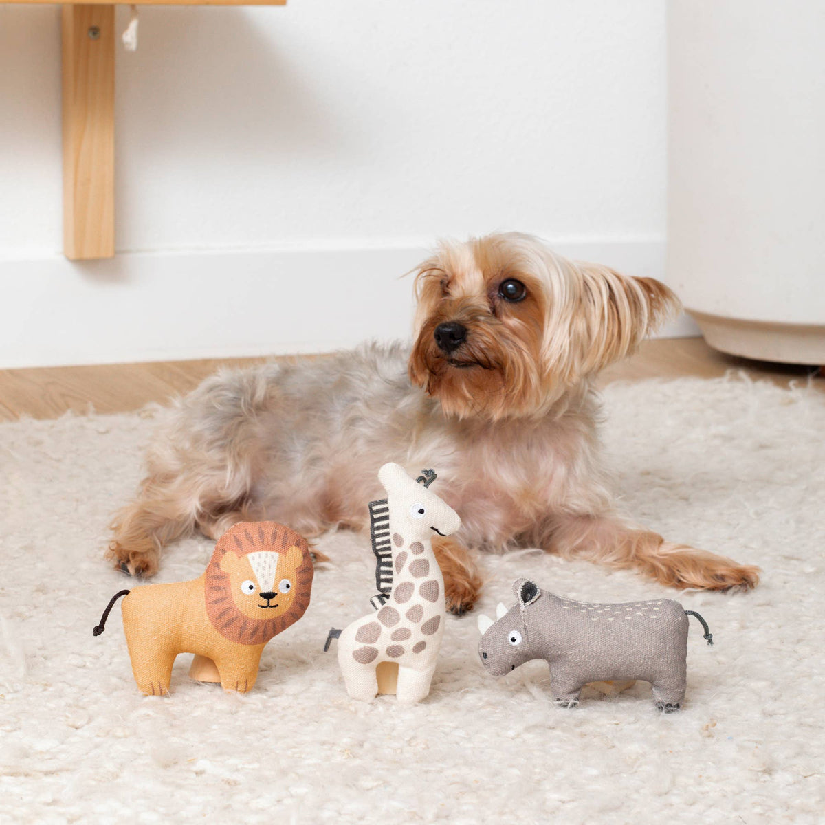 Petshop by Fringe Studio - EARTH FRIENDLY 3PC DOG TOY SET FEELING WILD