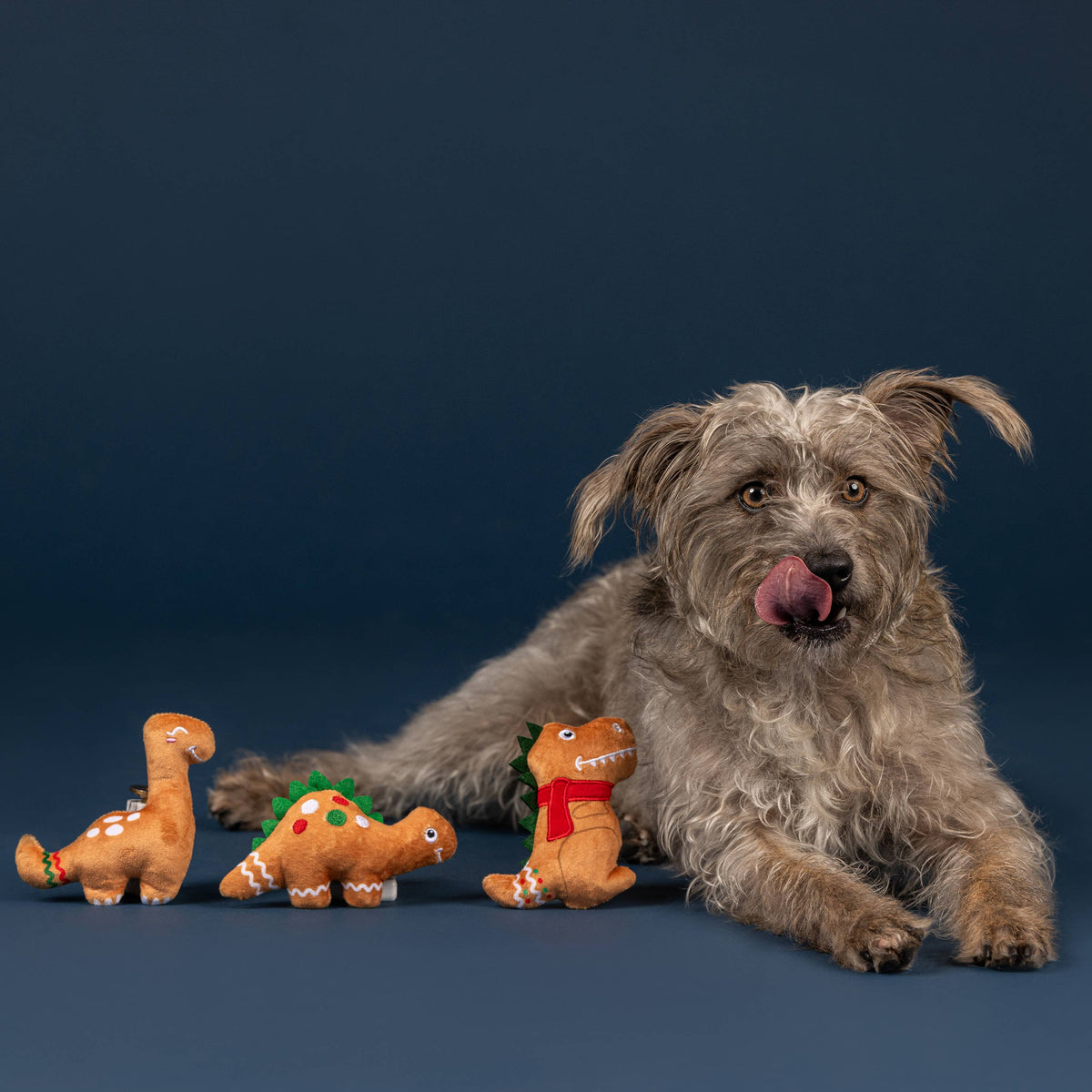 Petshop by Fringe Studio's Baking Spirits Bright 3pc Dog Plush Toy Set