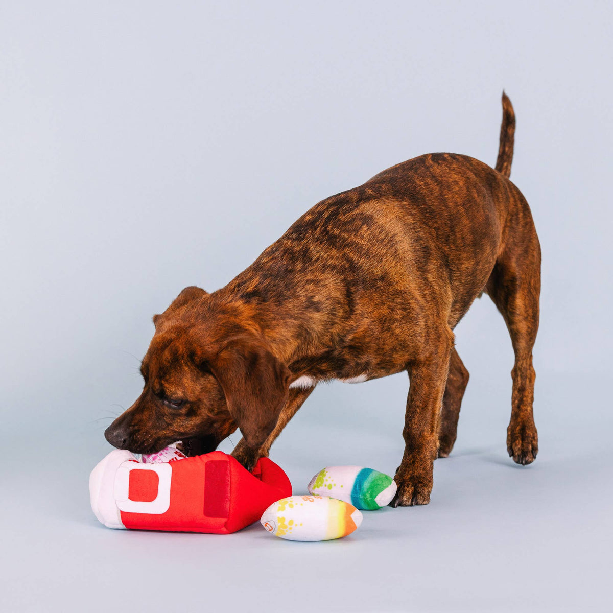 Petshop by Fringe Studio's Stay Cool Puzzle Dog Plush Toy
