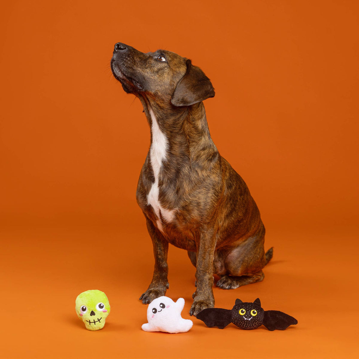 Petshop by Fringe Studio's Boo Ya 3pc Dog Plush Toy Set