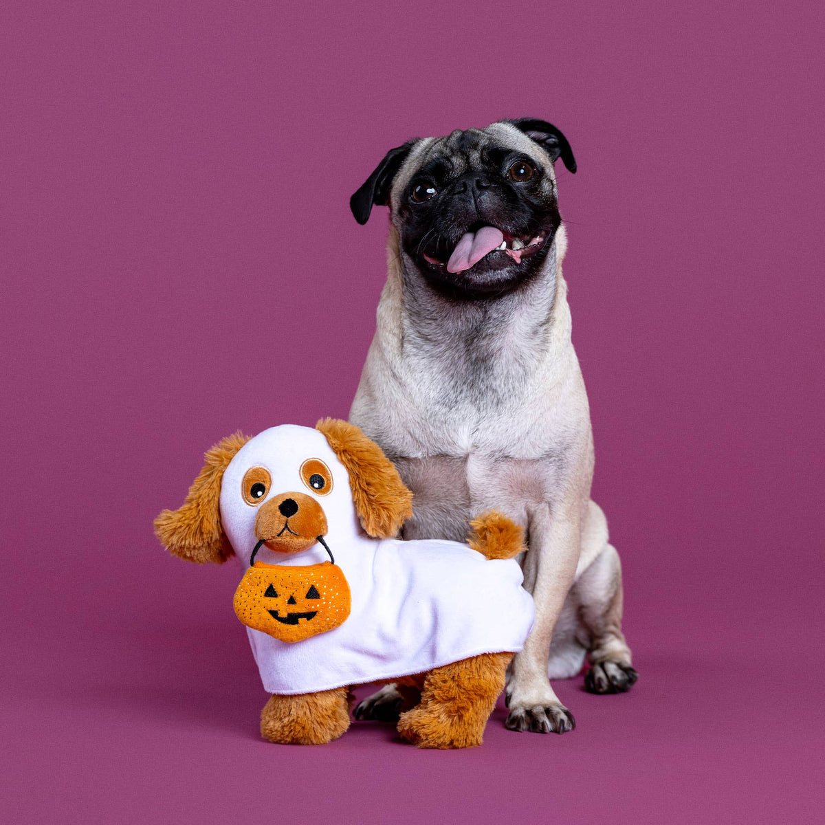Petshop by Fringe Studio's Hauntin' Hound Dog Plush Toy