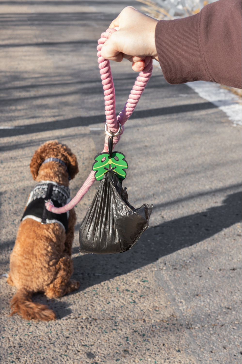 Monstera Leaf Poopy Loop® Used Dog Waste Bag Holder