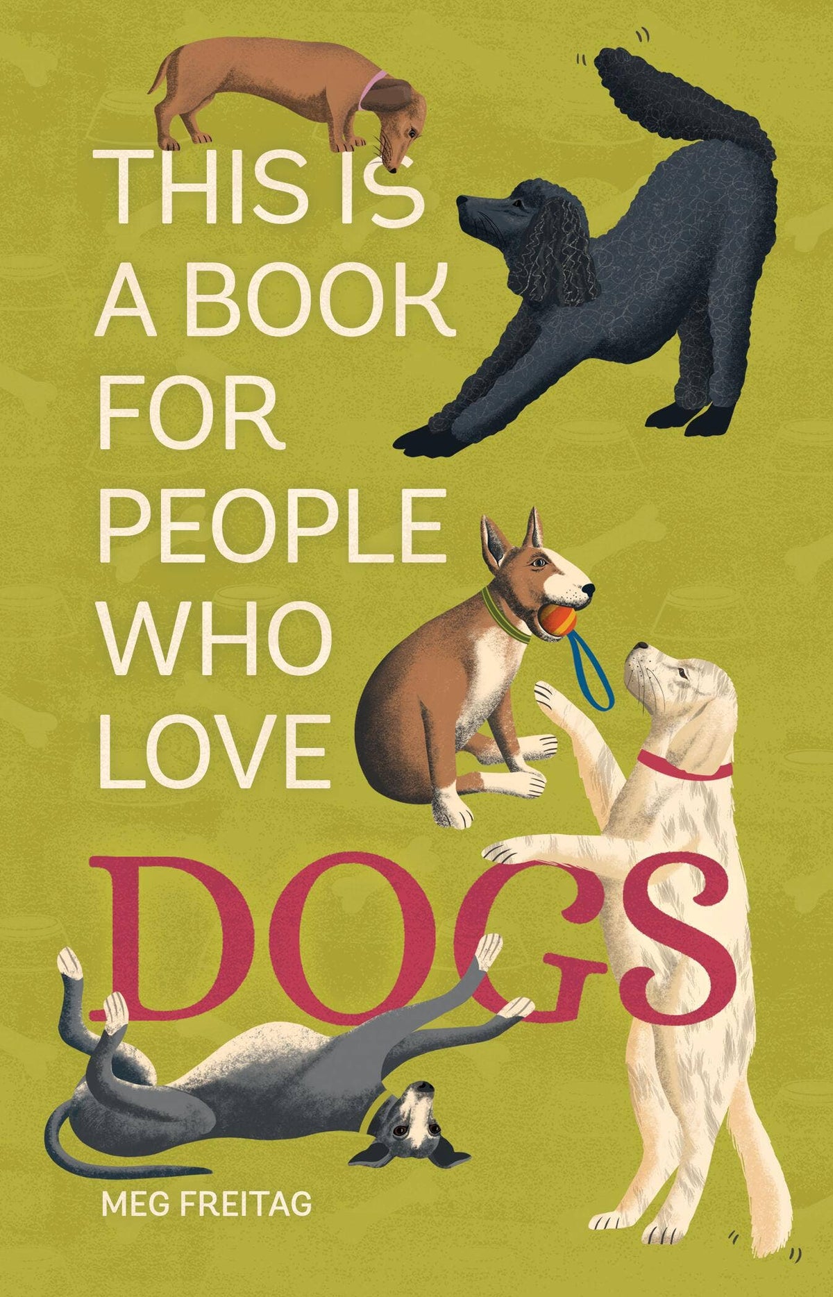 Hachette Book Group - This Is a Book for People Who Love Dogs