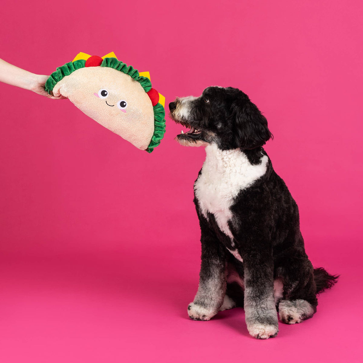 Petshop by Fringe Studio's Fantas Taco XL Dog Plush Toy