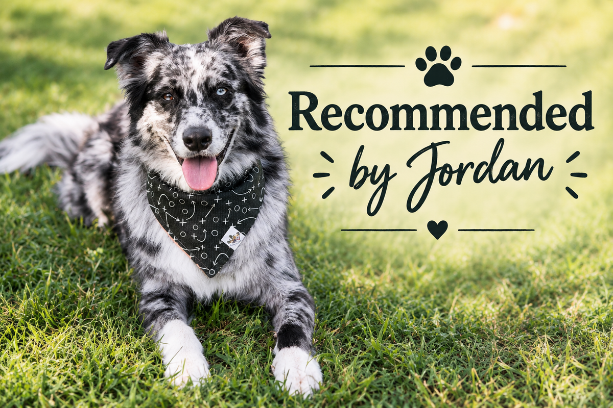 Recommended by Jordan