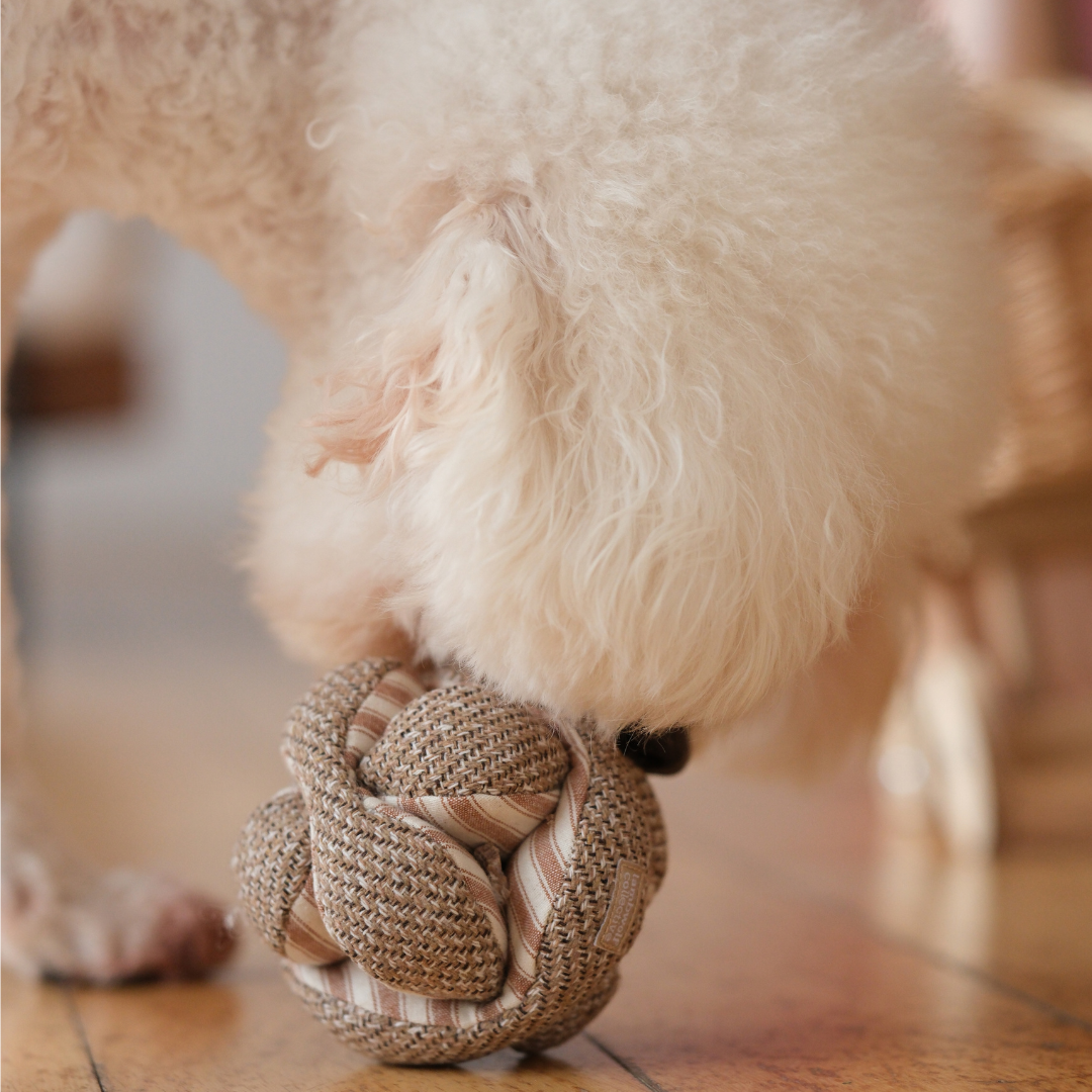 Lambwolf Collective's MONTI Snuffle Ball Enrichment Dog Toy - Mini