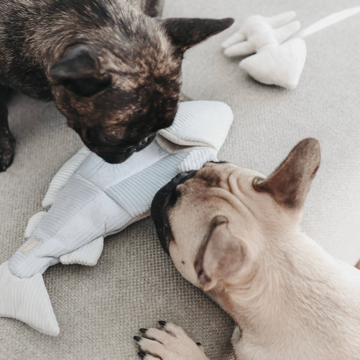 Lambwolf Collective - TROUT // ENRICHMENT DOG TOY // SNUFFLE TOY
