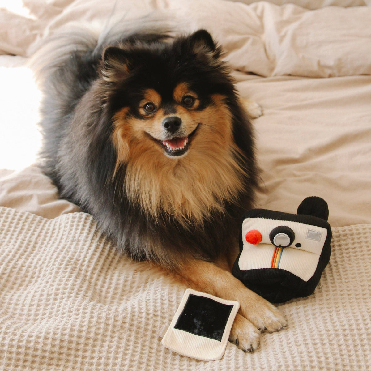 Lambwolf Collective - INSTANT CAMERA // ENRICHMENT DOG TOY // SNUFFLE TOY