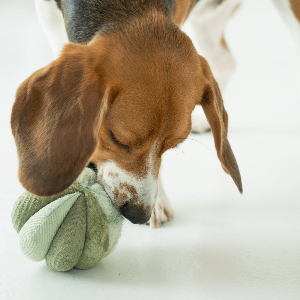 Lambwolf Collective's TOTO Snuffle Ball Enrichment Dog Toy - Small