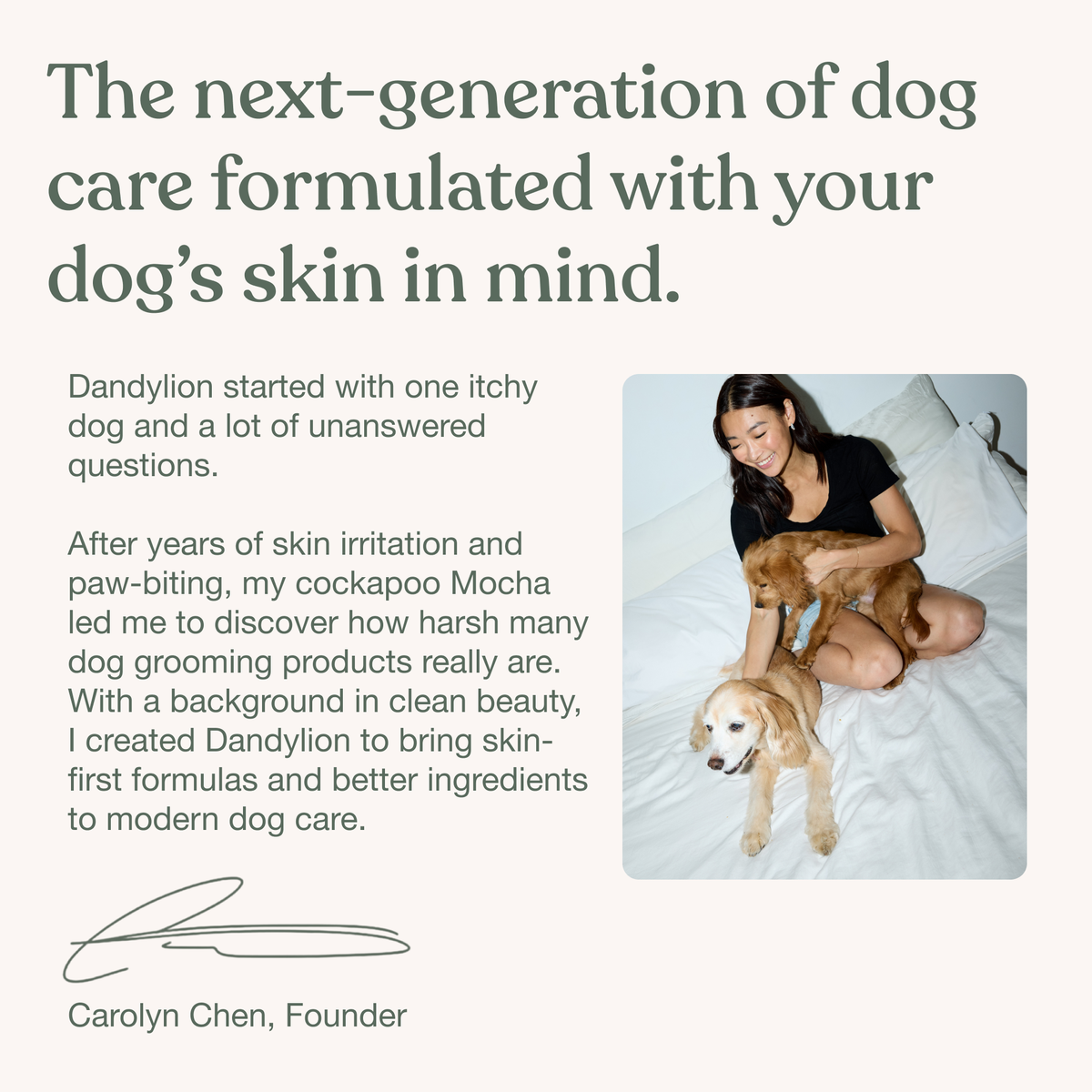 Clean Paws No-Rinse Foaming Cleanser