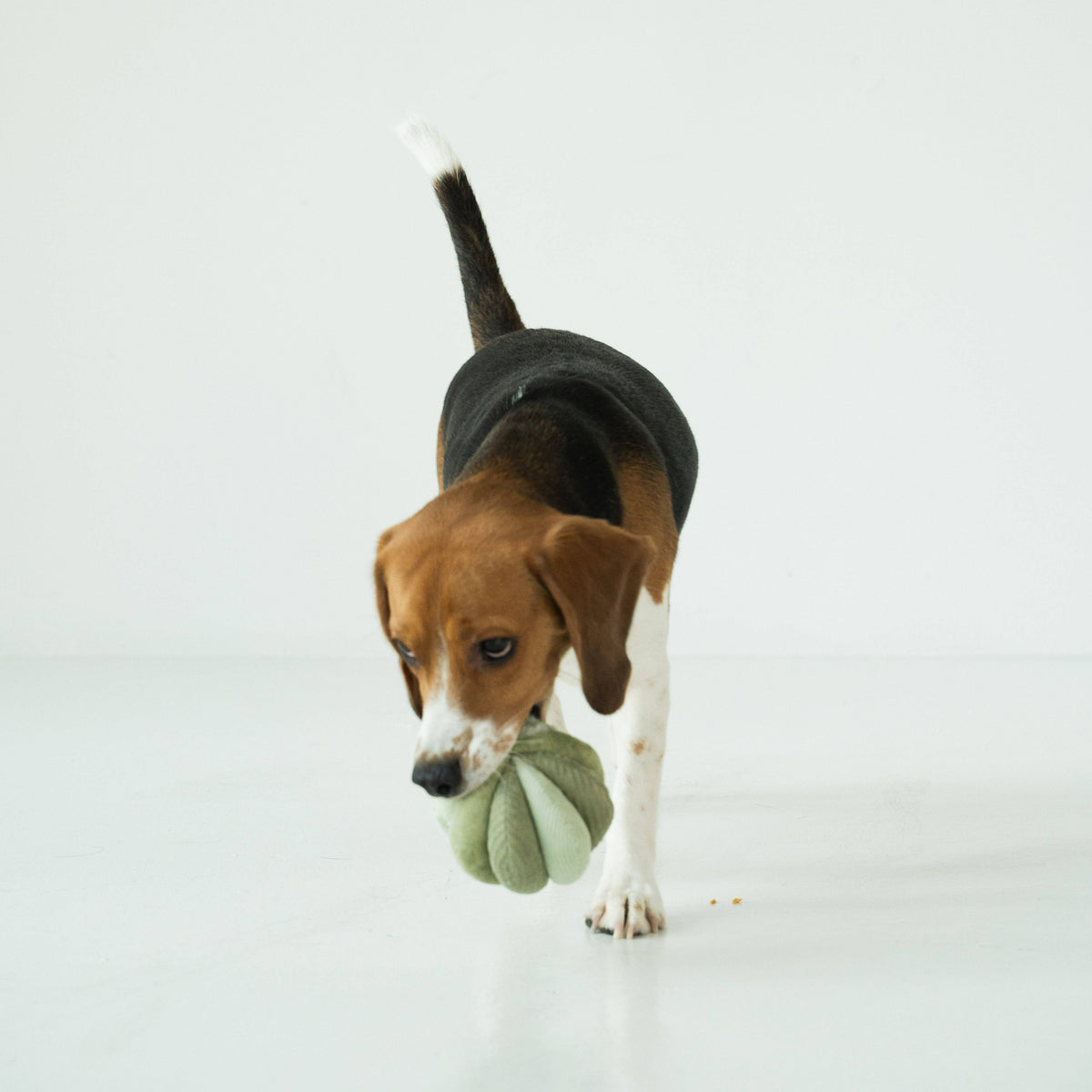 Lambwolf Collective's TOTO Snuffle Ball Enrichment Dog Toy - Small