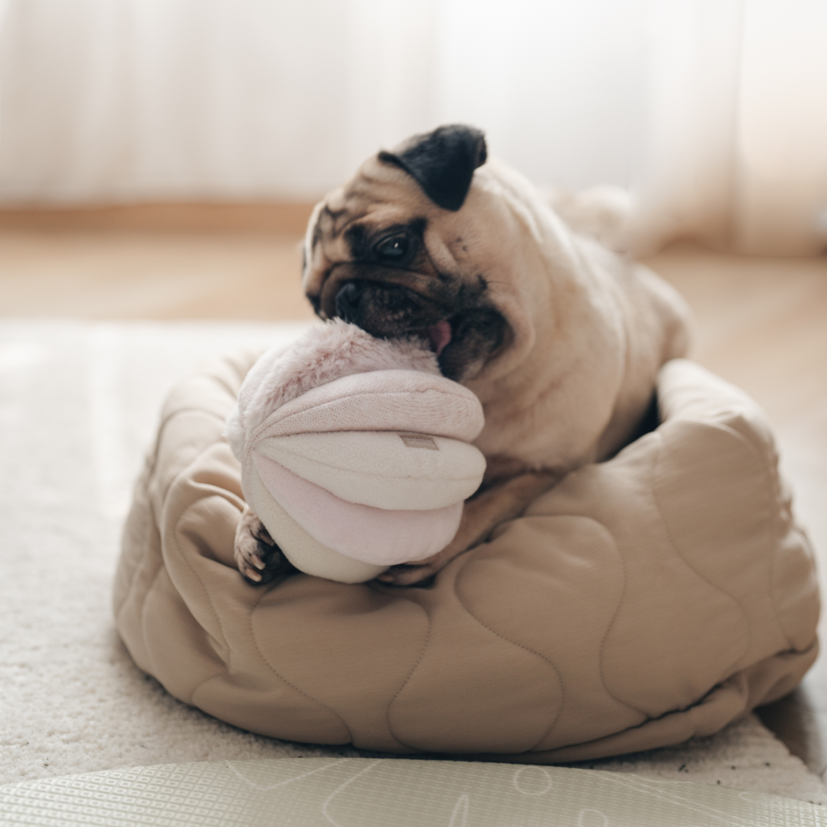 Lambwolf Collective's TOTO Snuffle Ball Enrichment Dog Toy