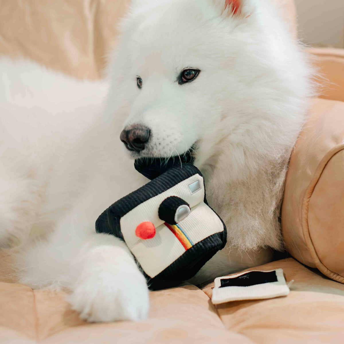 Lambwolf Collective - INSTANT CAMERA // ENRICHMENT DOG TOY // SNUFFLE TOY