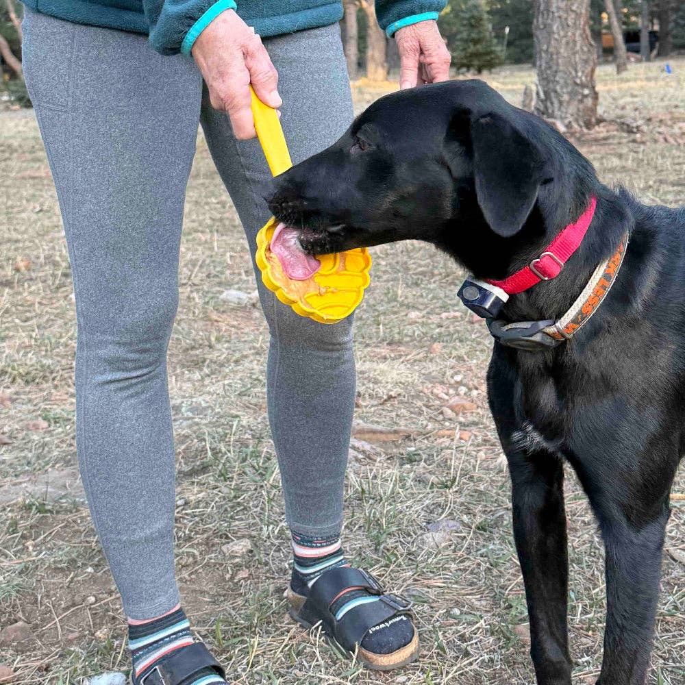 SodaPup Dog Toys - EStick Hand-Held Dog Enrichment Target Training Toy - Interactive Lick Stick | USA Made