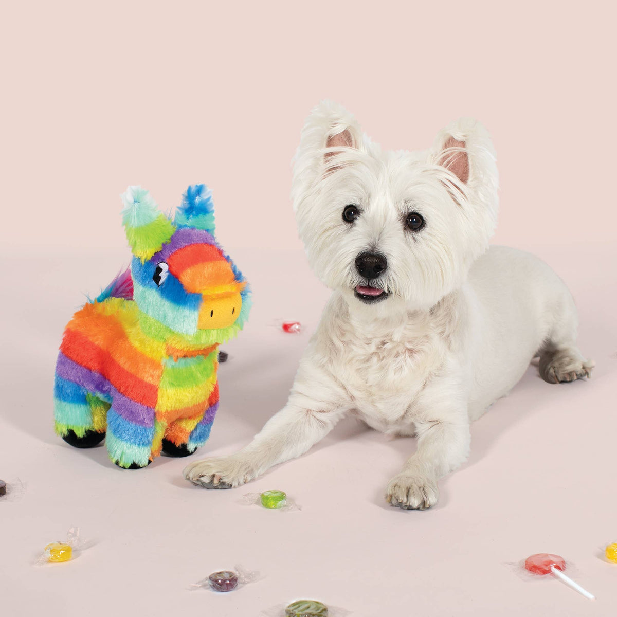 Petshop by Fringe Studio's Pinata Party Boy Dog Plush Toy