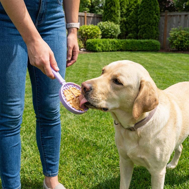 SodaPup Dog Toys - EStick Hand-Held Dog Enrichment Target Training Toy - Interactive Lick Stick | USA Made
