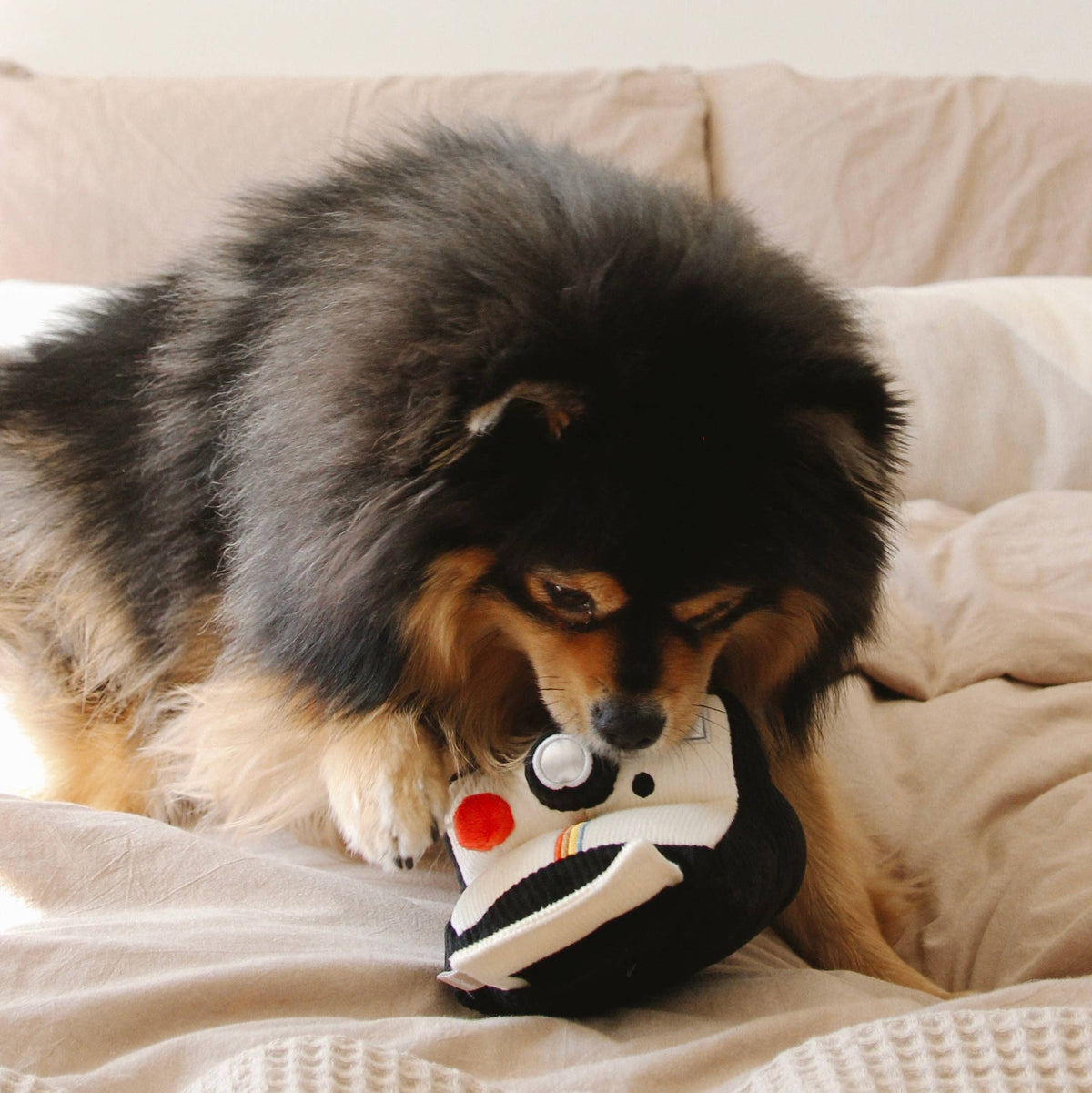 Lambwolf Collective - INSTANT CAMERA // ENRICHMENT DOG TOY // SNUFFLE TOY