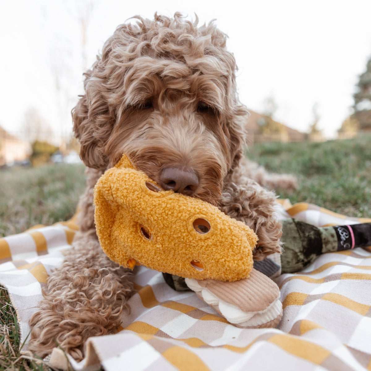 Lambwolf Collective - FROMAGE // ENRICHMENT DOG TOY // SNUFFLE TOY