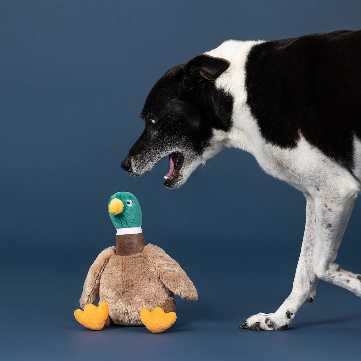 Petshop by Fringe Studio Feelin' Nauti Dog Plush Toy
