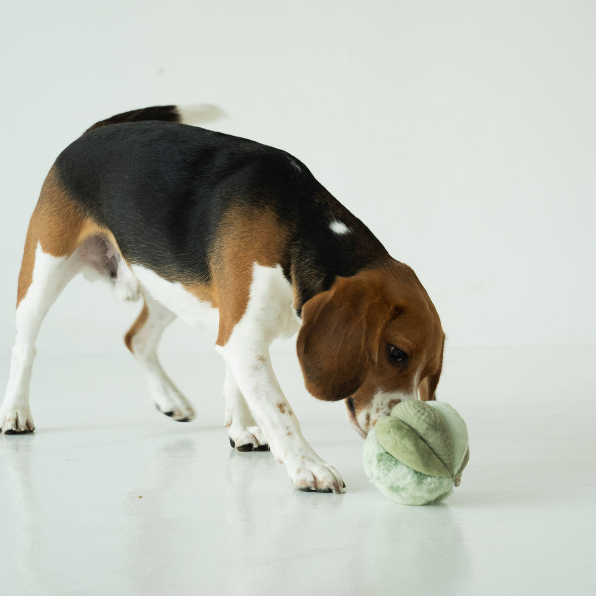 Lambwolf Collective's TOTO Snuffle Ball Enrichment Dog Toy - Small