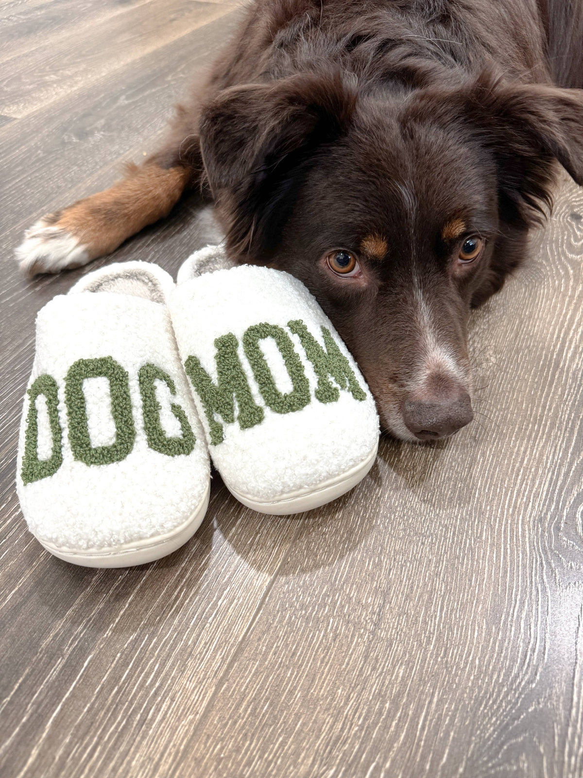 Brewin Aussie Co. Dog Mom Slippers - Green
