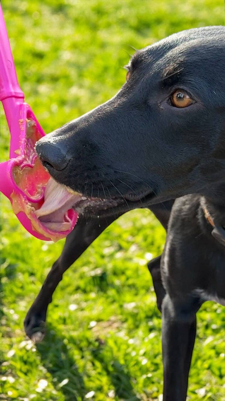 SodaPup Dog Toys - EStick Hand-Held Dog Enrichment Target Training Toy - Interactive Lick Stick | USA Made