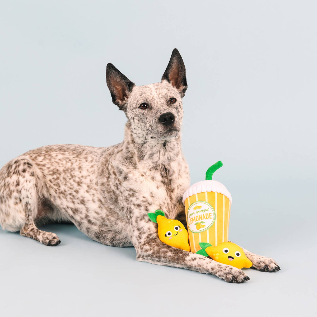 Petshop by Fringe Studio's Pucker Up 3pc Dog Plush Toy Set