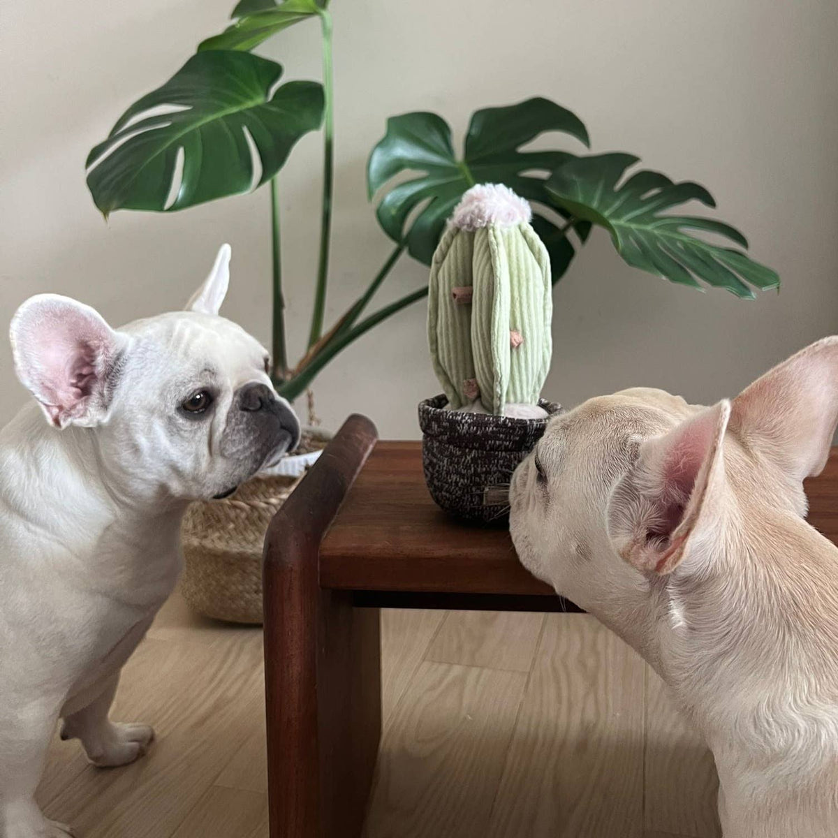 Lambwolf Collective - CACTUS // ENRICHMENT DOG TOY // Squeaky + DECO Toy