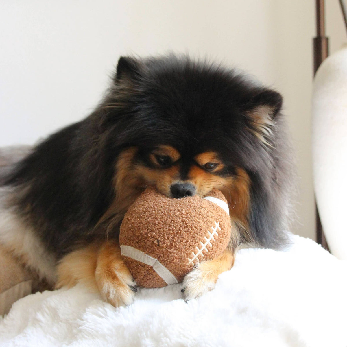 Lambwolf Collective's Squeaky Football Plush Dog Enrichment Toy