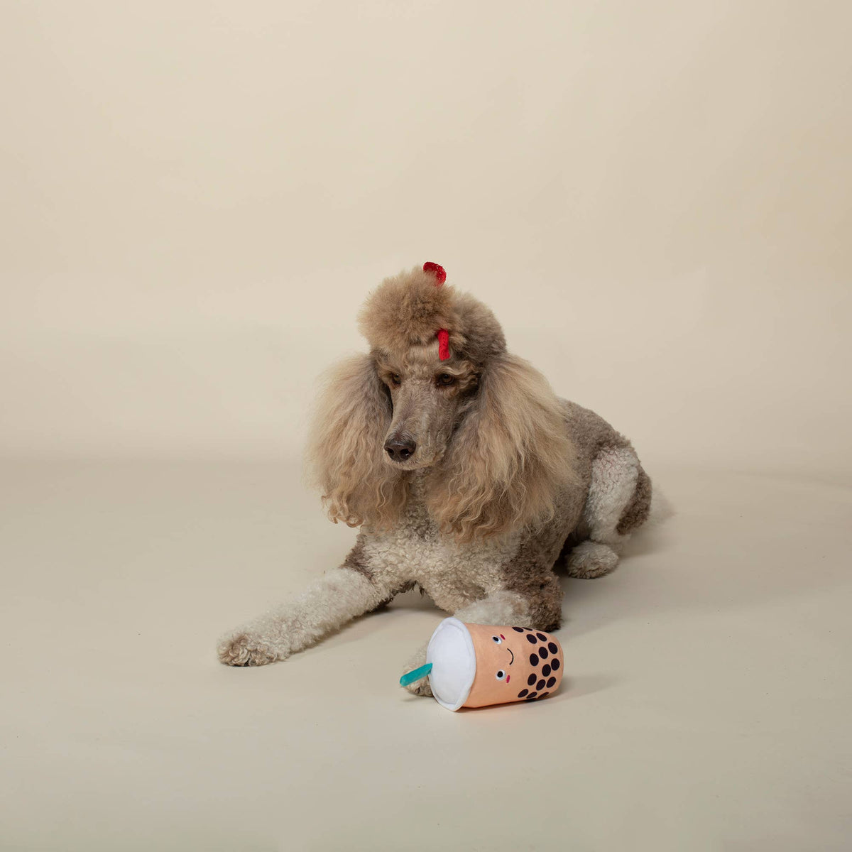 Petshop by Fringe Studio's It's Boba Time Dog Plush Toy