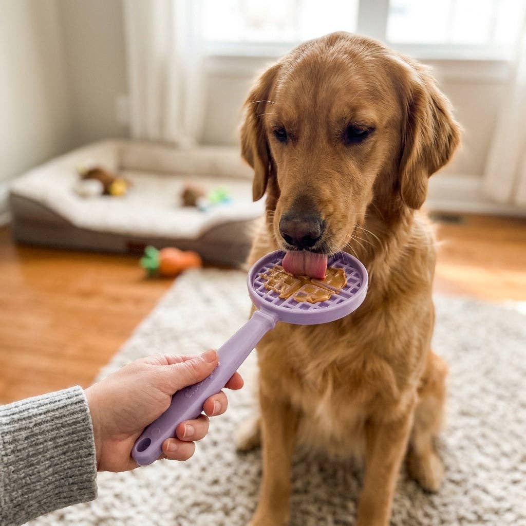 SodaPup Dog Toys - EStick Hand-Held Dog Enrichment Target Training Toy - Interactive Lick Stick | USA Made
