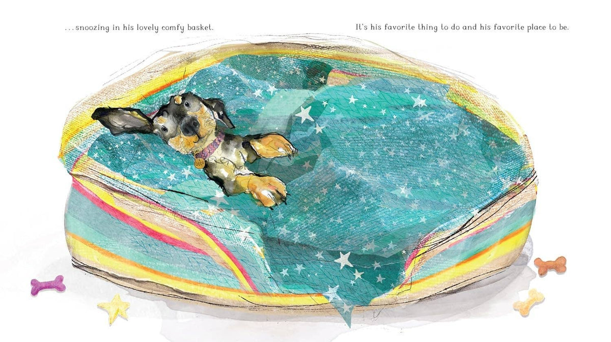 Hachette Book Group - Otto: The Top Dog