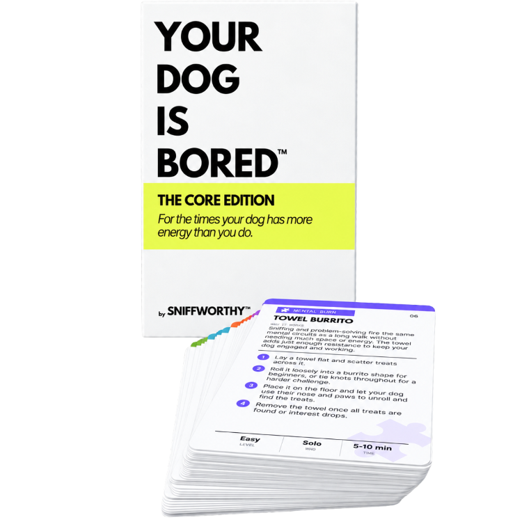 SodaPup Dog Toys - YOUR DOG IS BORED - 32 ENRICHMENT ACTIVITY CARD DECK