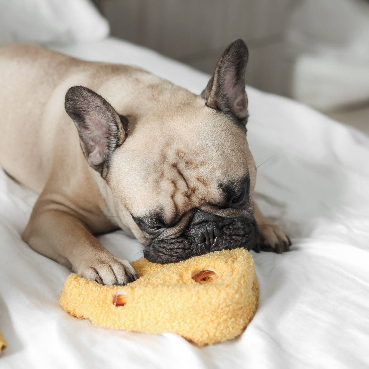 Lambwolf Collective - FROMAGE // ENRICHMENT DOG TOY // SNUFFLE TOY