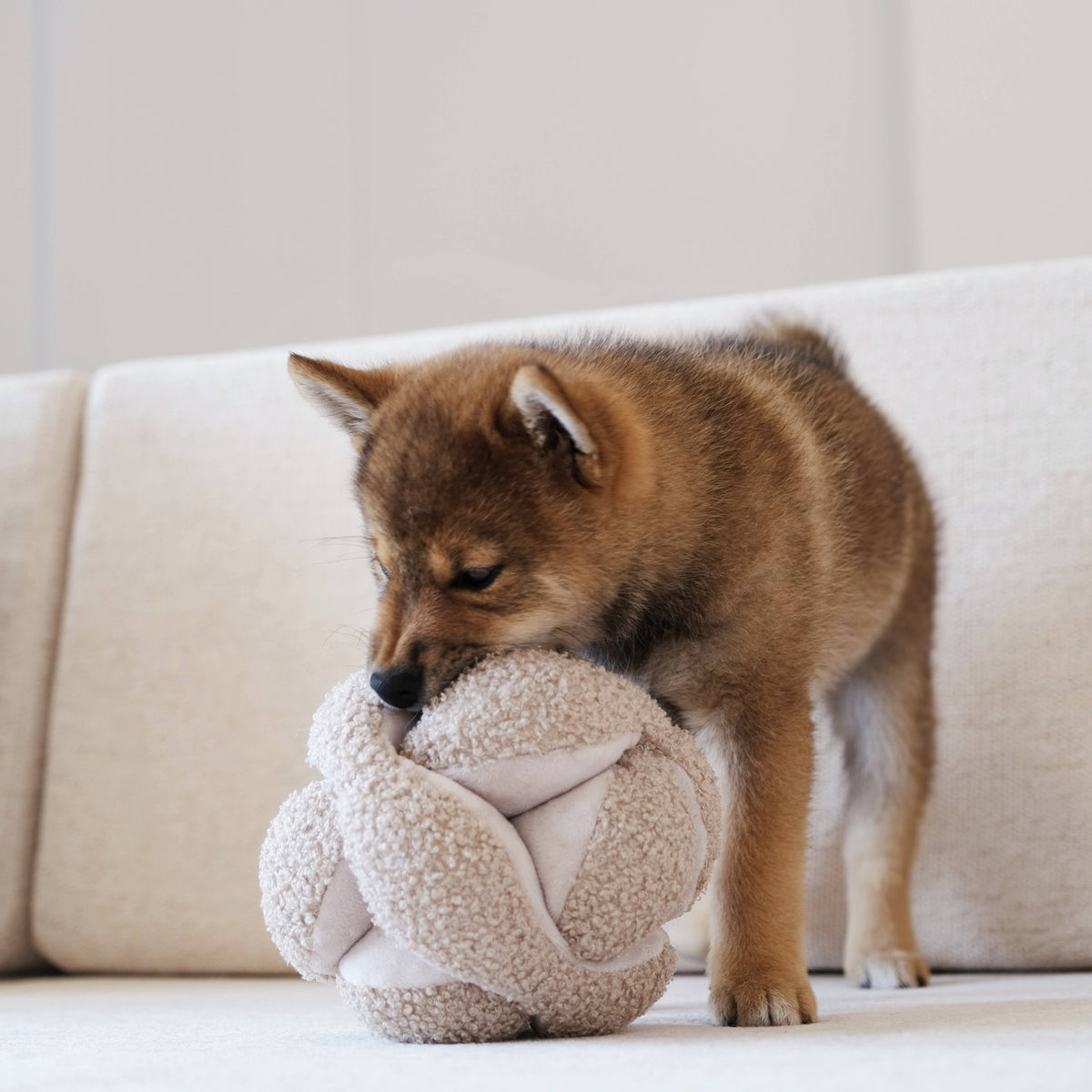 Lambwolf Collective's MONTI Snuffle Ball Enrichment Dog Toy