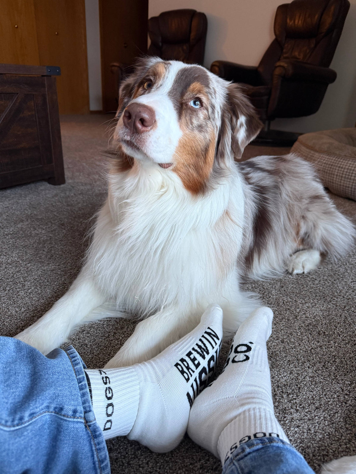 Brewin Aussie CO. "Dogs>" Crew Socks 