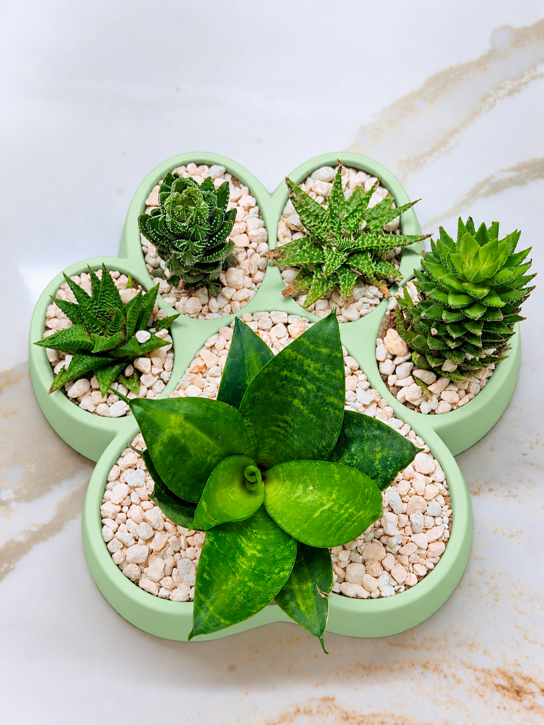 Custom Color Dog Paw Print Planter