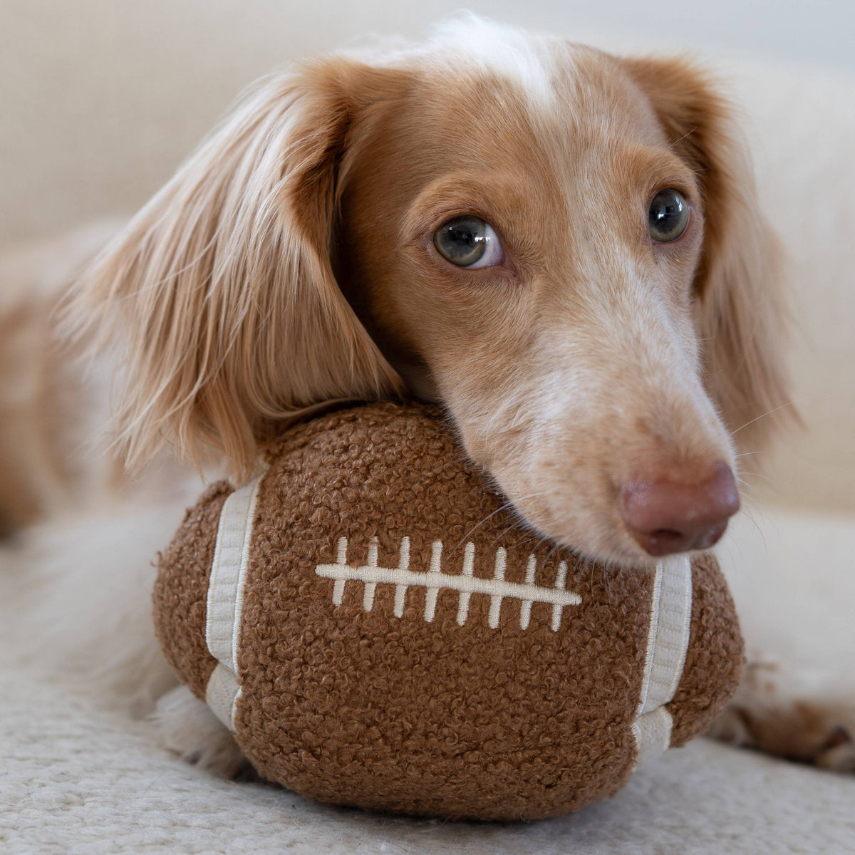 Lambwolf Collective's Squeaky Football Plush Dog Enrichment Toy