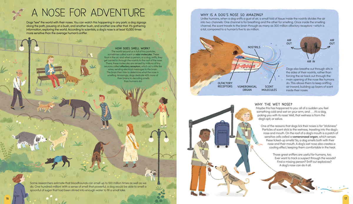 Hachette Book Group - A World of Dogs