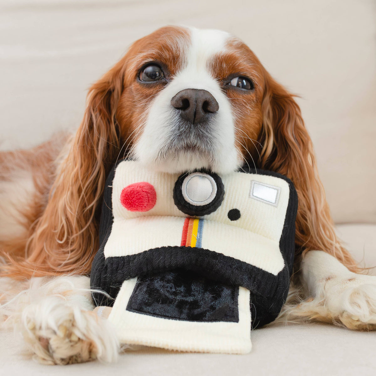 Lambwolf Collective - INSTANT CAMERA // ENRICHMENT DOG TOY // SNUFFLE TOY