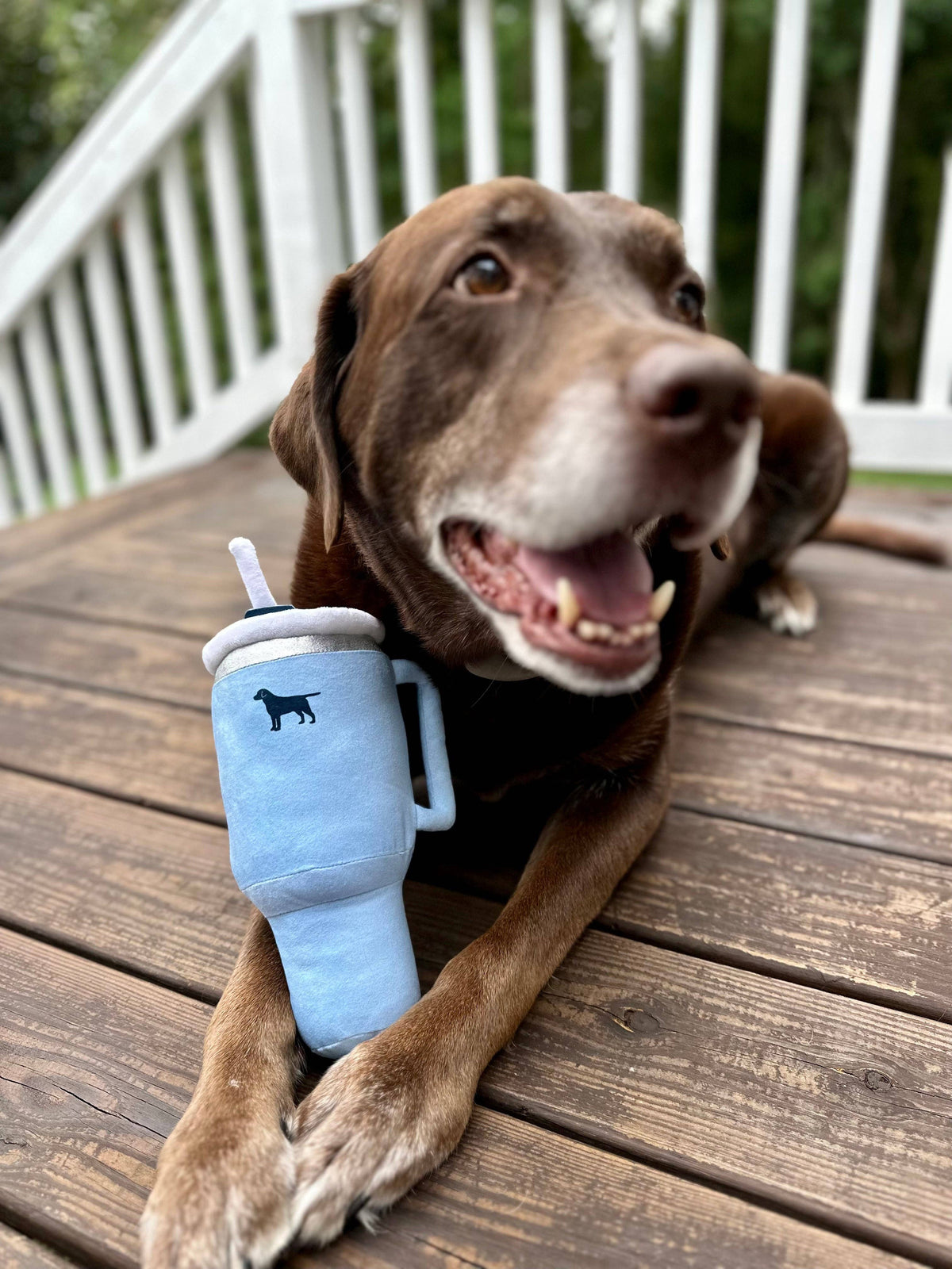 UPROAR Pup Cup Tumbler Dog Plush & Squeaky Toy