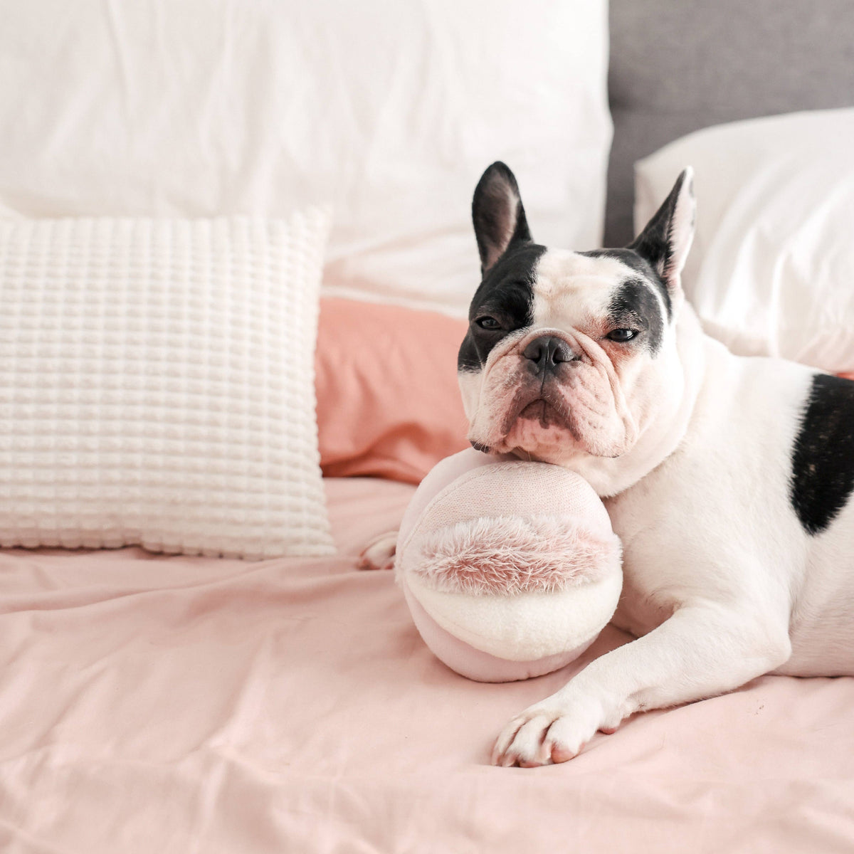 Lambwolf Collective's TOTO Snuffle Ball Enrichment Dog Toy