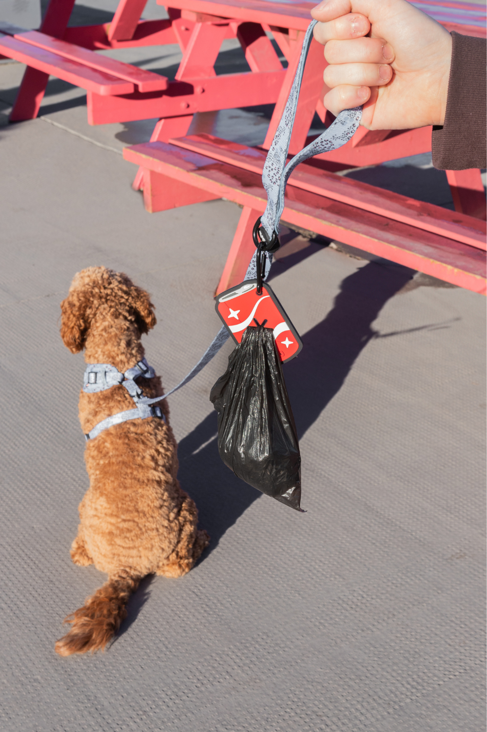 Soda Pop Poopy Loop® Used Dog Waste Bag Holder