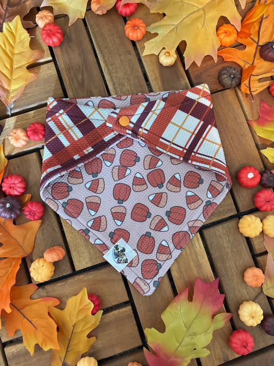 Bad Dog Boutique's Candy Corn Crazy Dog Bandana