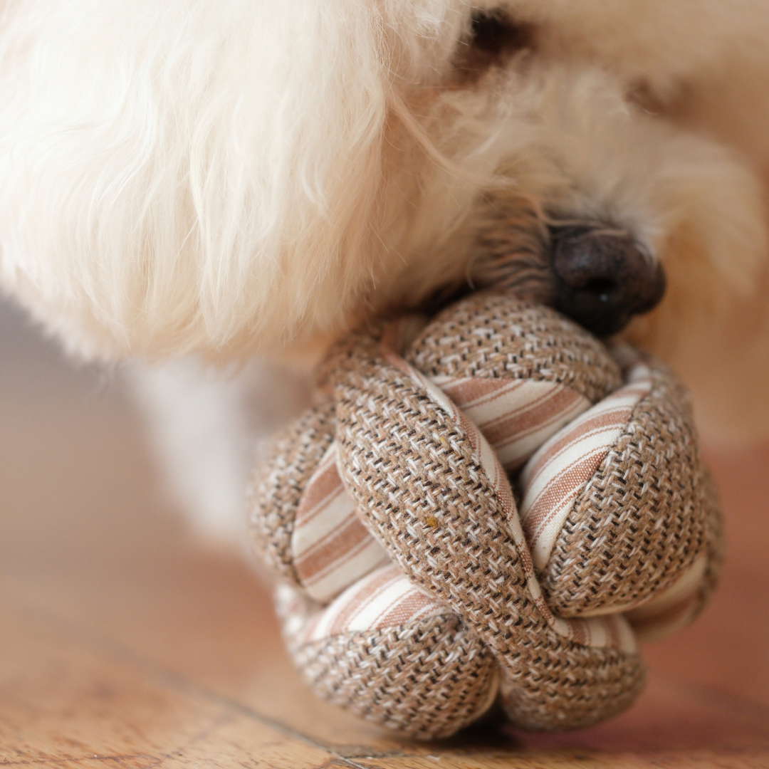 Lambwolf Collective's MONTI Snuffle Ball Enrichment Dog Toy - Mini