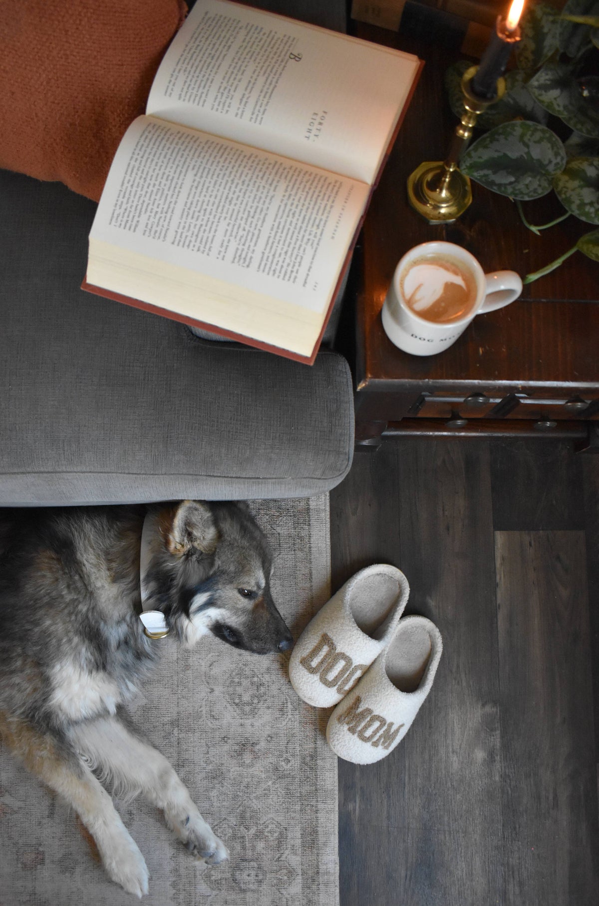 Brewin Aussie Co. Dog Mom Slippers - Taupe