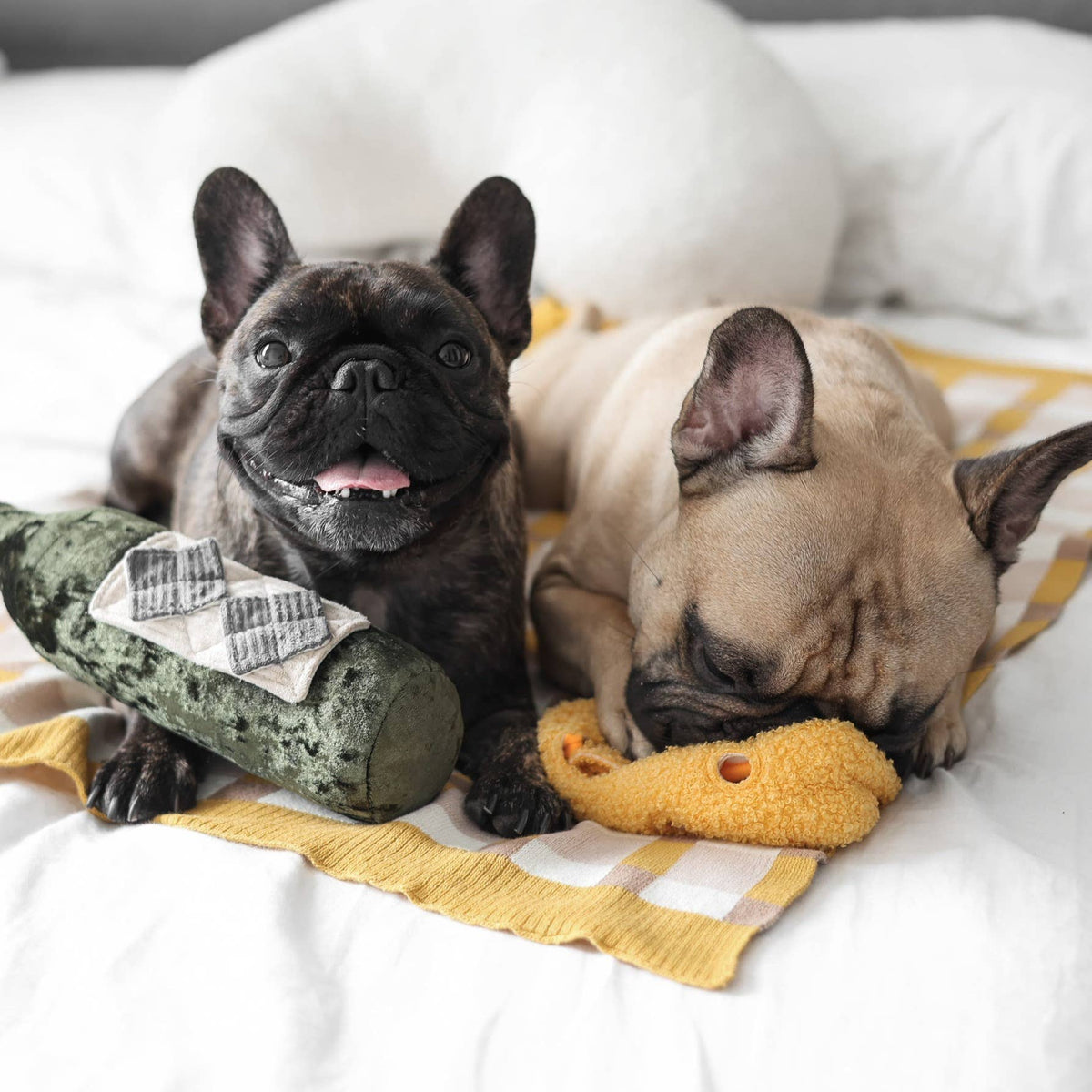 Lambwolf Collective - FROMAGE // ENRICHMENT DOG TOY // SNUFFLE TOY