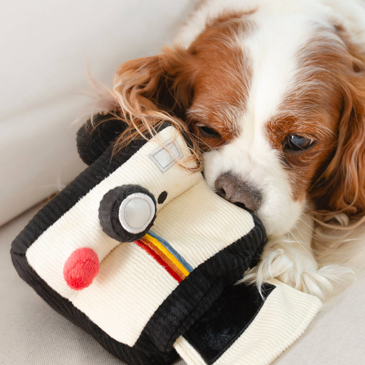 Lambwolf Collective - INSTANT CAMERA // ENRICHMENT DOG TOY // SNUFFLE TOY