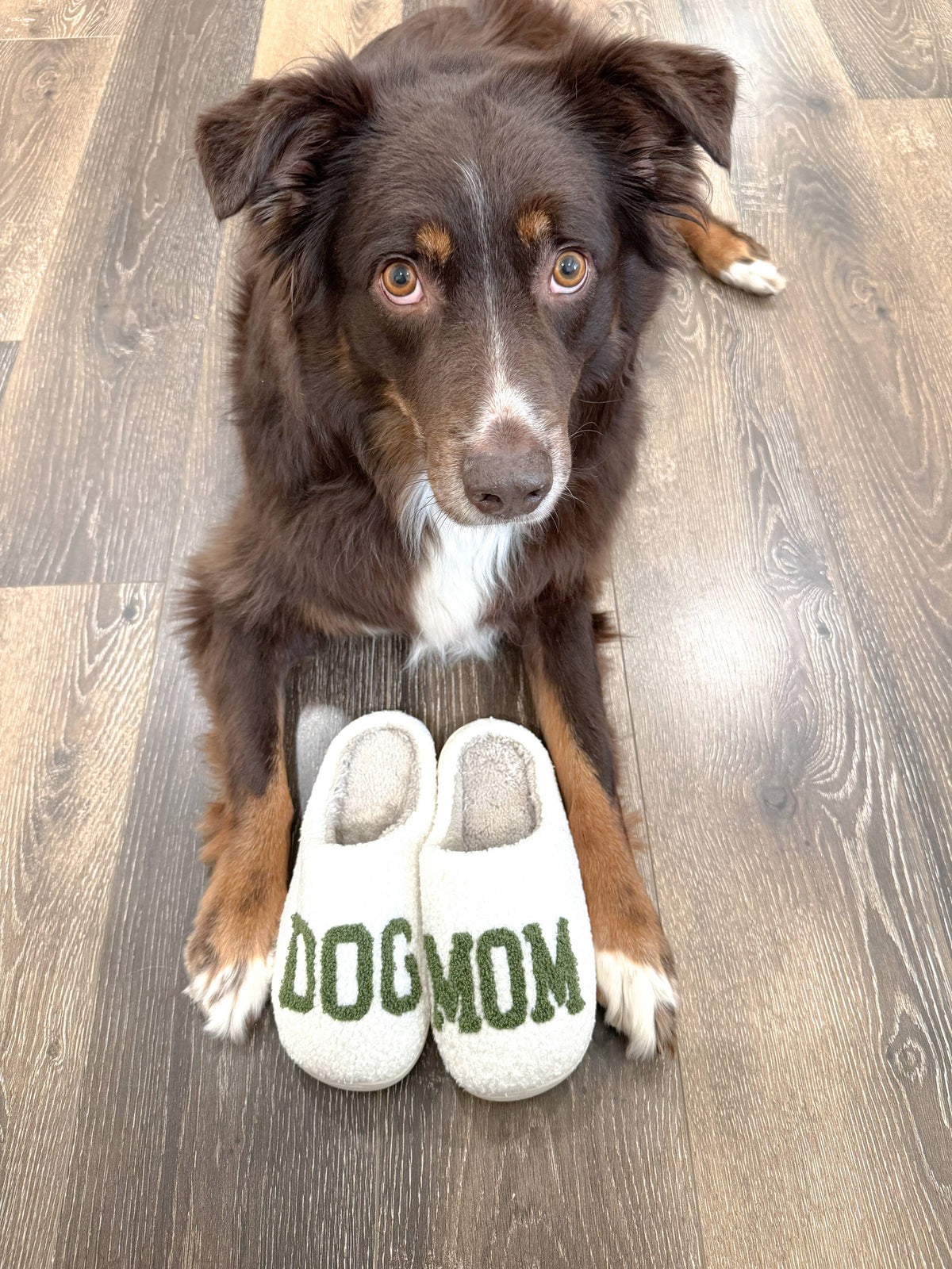 Brewin Aussie Co. Dog Mom Slippers - Green