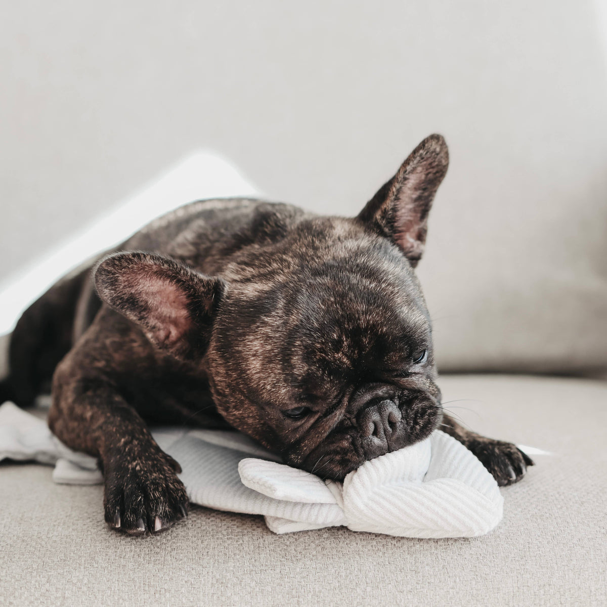 Lambwolf Collective - TROUT // ENRICHMENT DOG TOY // SNUFFLE TOY
